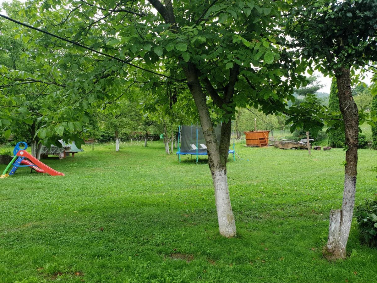 Pensiunea Ancuta Din Botiza Buitenkant foto