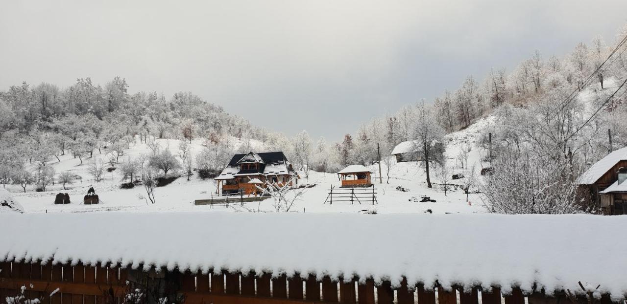 Pensiunea Ancuta Din Botiza Buitenkant foto