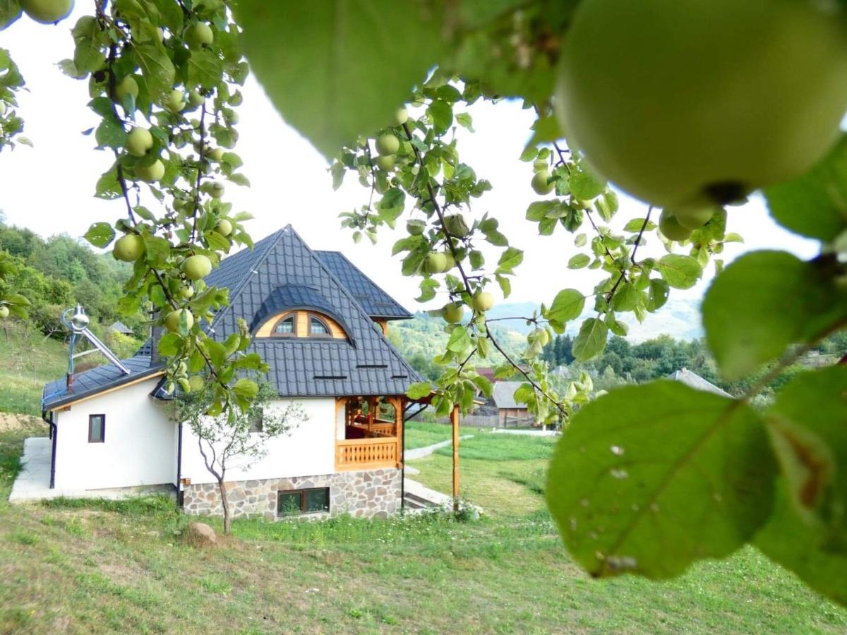 Pensiunea Ancuta Din Botiza Buitenkant foto