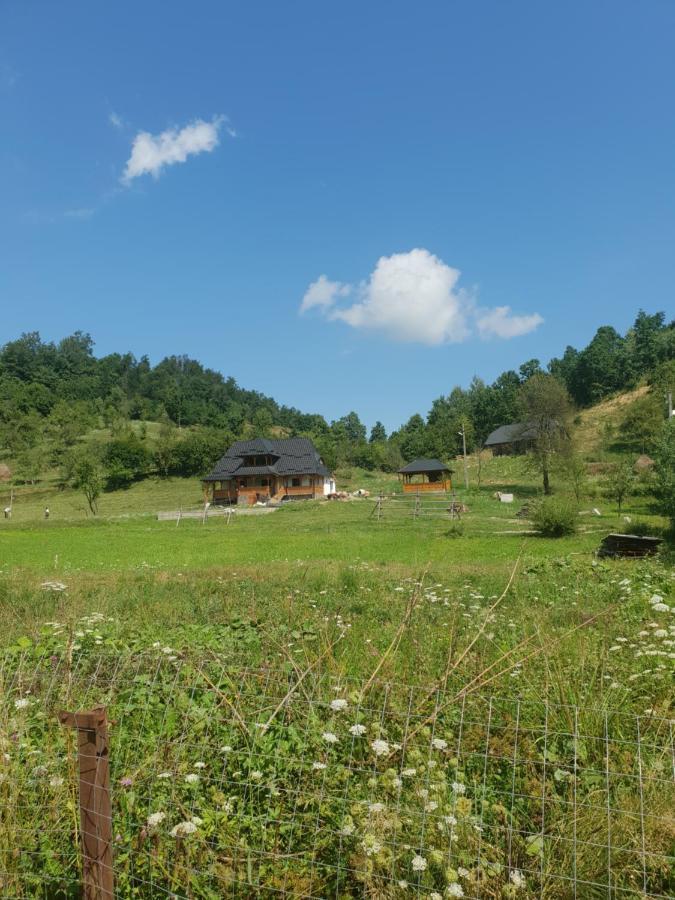 Pensiunea Ancuta Din Botiza Buitenkant foto