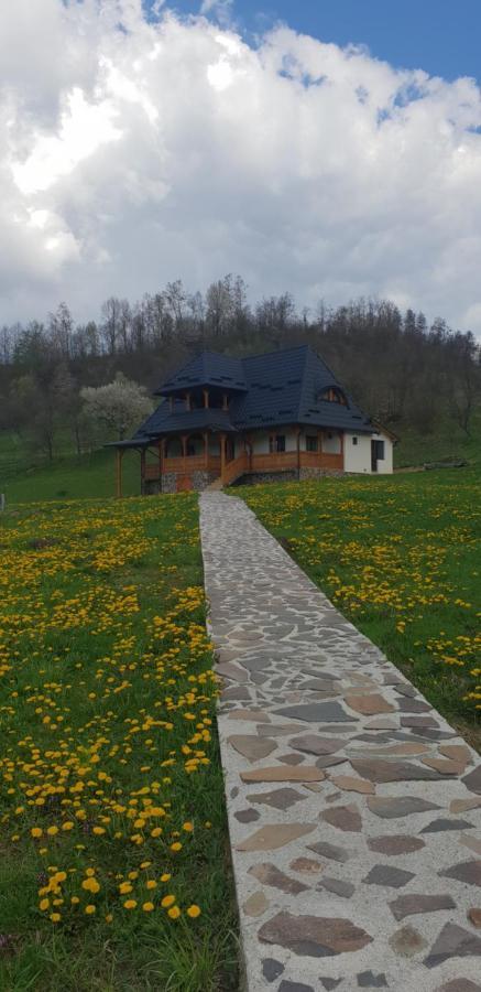 Pensiunea Ancuta Din Botiza Buitenkant foto