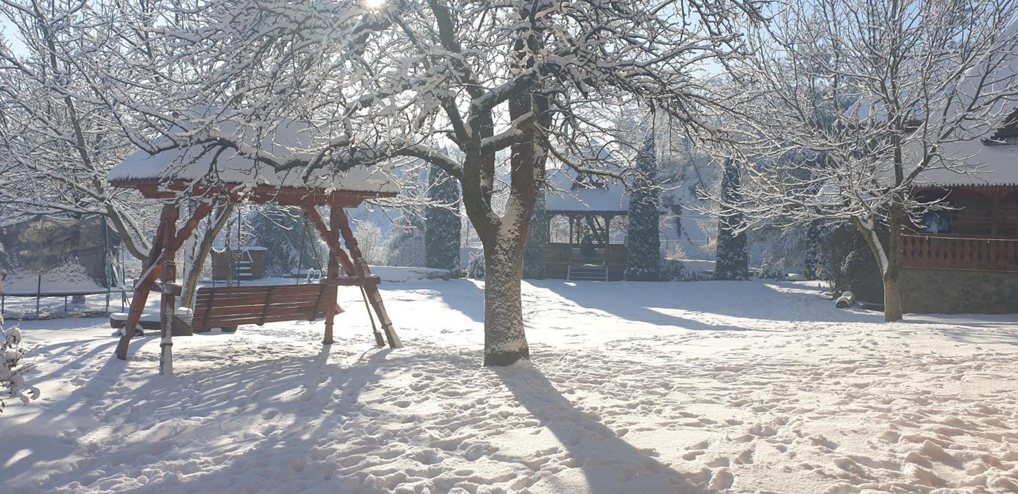 Pensiunea Ancuta Din Botiza Buitenkant foto