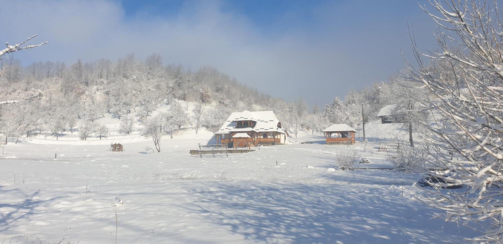 Pensiunea Ancuta Din Botiza Buitenkant foto