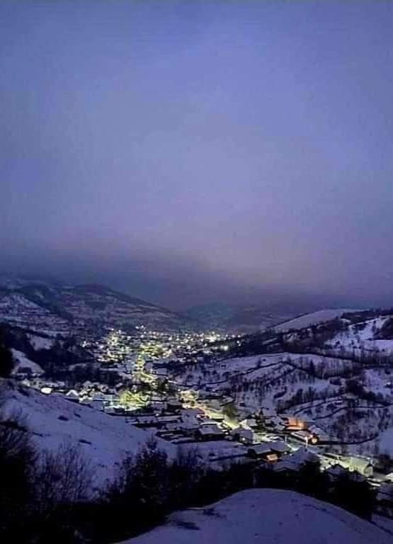 Pensiunea Ancuta Din Botiza Buitenkant foto