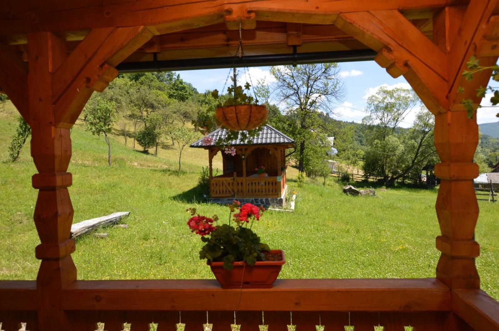 Pensiunea Ancuta Din Botiza Kamer foto