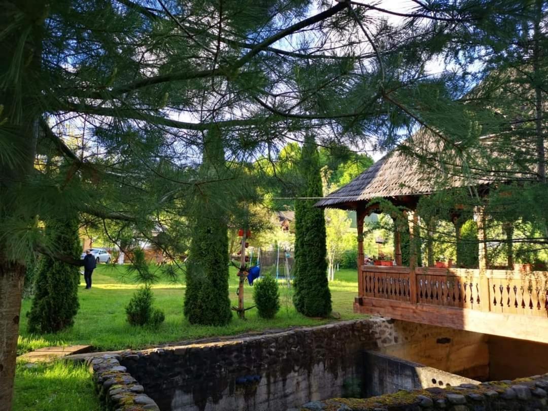 Pensiunea Ancuta Din Botiza Kamer foto